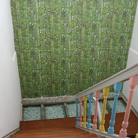 Meeting * Figueira da Foz