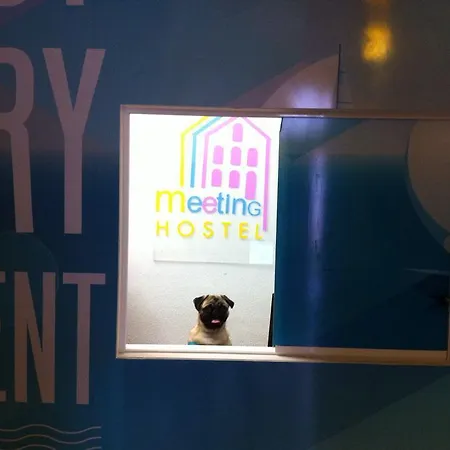 Meeting